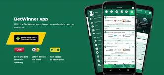 Discover the Excellence of BetWinner Bookmaker