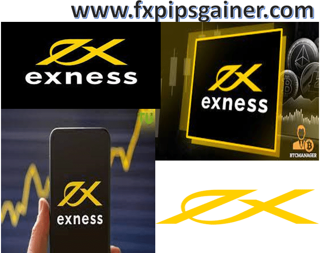 Maximizing Your Trading Potential with Regulated Exness Broker