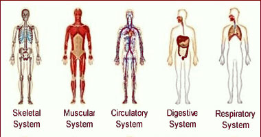 Le centre d'Internet